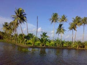 Kumarakom backwaters