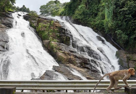 Chapra falls in Kerala tourist destination