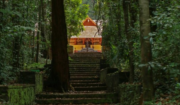 Long and amzing view of temple 