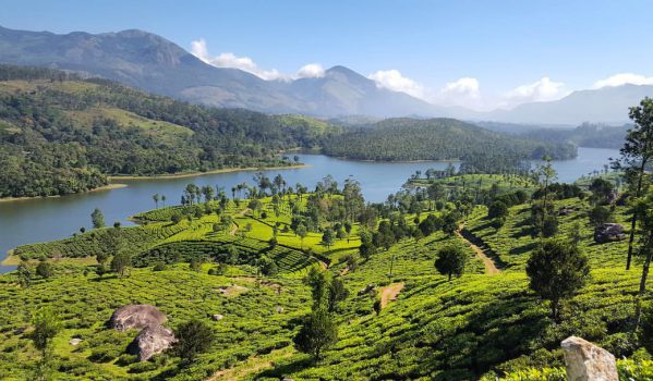 Best Places to Visit in Munnar in 2 days