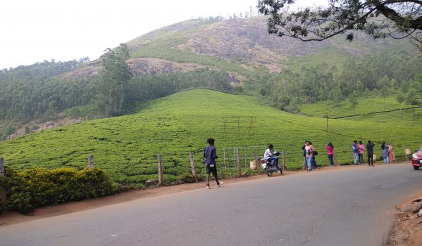 Tourists taking selfies at Photo Point