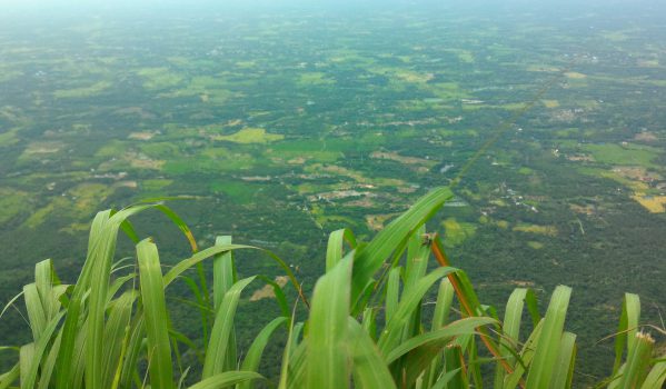 View Point Seethargundu