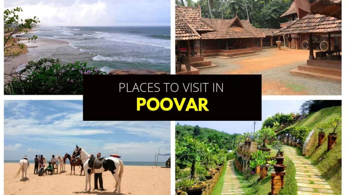 Poovar Island Resort, Poovar | 2024 Updated Prices, Deals