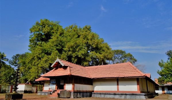 Landscape view of Adithyapuram Surya Temple